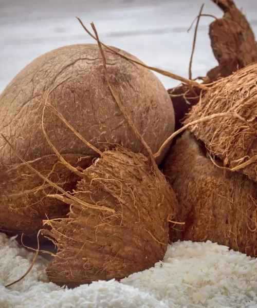 coconut-whole-nuts-scattered-shavings-wooden-table