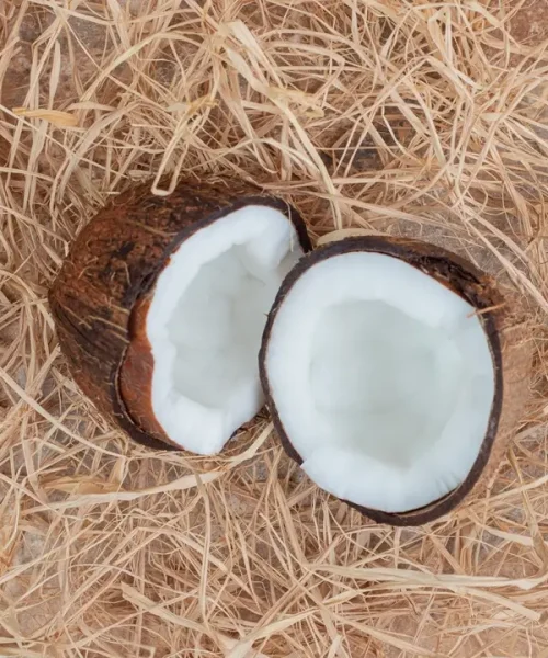 half-cut-coconuts-with-straws-marble-surface