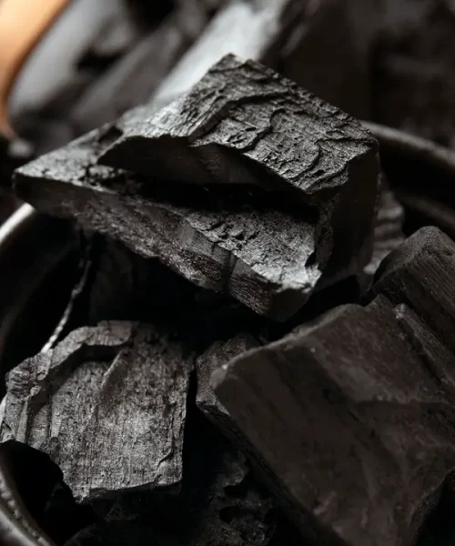 still-life-ashes-with-charcoal